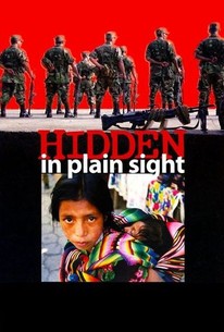 hidden in plain sight movie