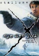 Eye See You poster image