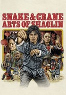 Snake and Crane Arts of Shaolin poster image