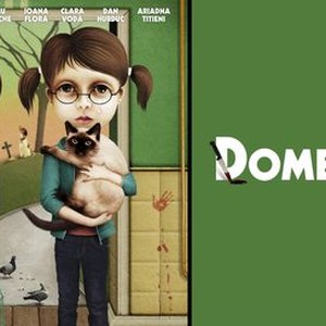Domestic photo 6