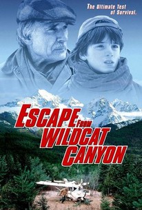 Poster for Escape From Wildcat Canyon
