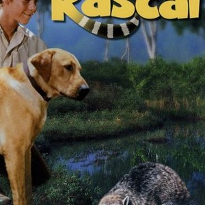 Rascal  Disney Movies