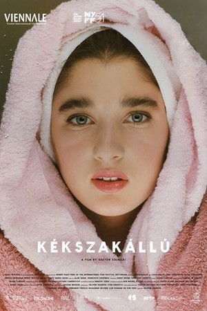 Kékszakállú poster