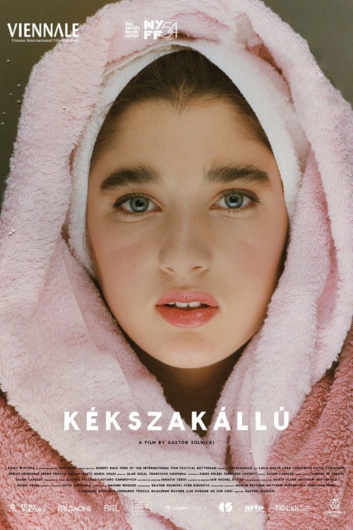Kékszakállú poster