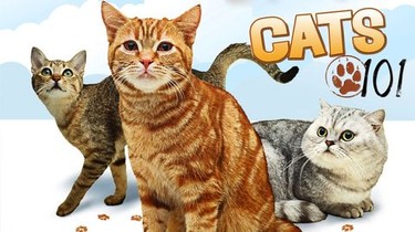 Cats store rotten tomatoes