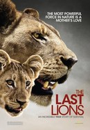 The Last Lions poster image