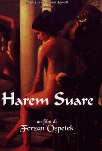 Poster for Harem Suare