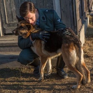 Shepherd: The Story of a Jewish Dog photo 5