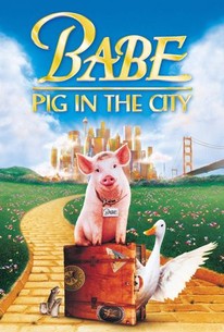 Watch trailer for Babe: Pig in the City