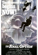 The Final Option poster image
