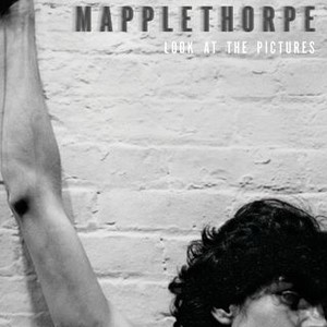 Mapplethorpe: Look at the Pictures photo 7