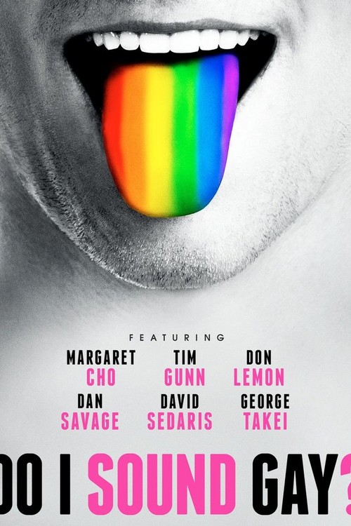 Do I Sound Gay? poster
