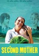 The Second Mother poster image