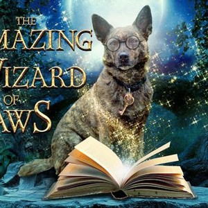 wizard of paws