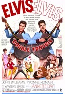 Double Trouble poster image