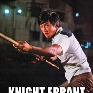 Knight Errant photo 9