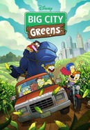 Big City Greens poster image