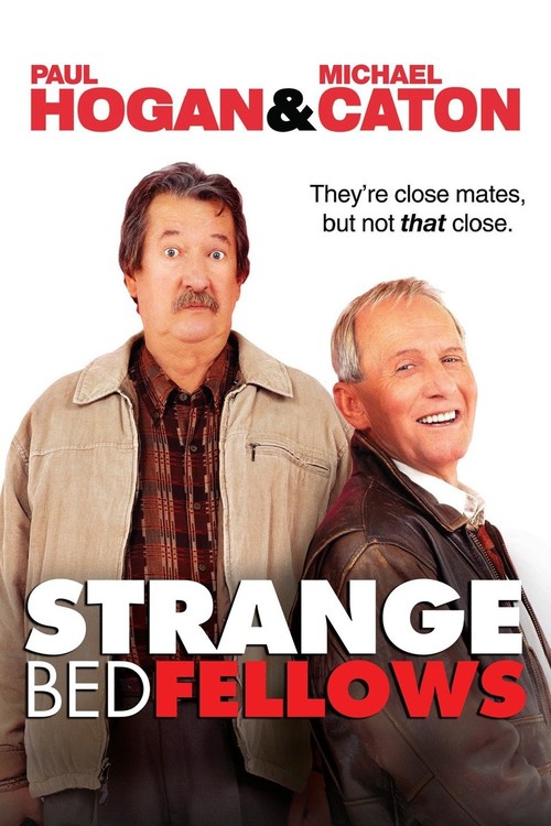 Strange Bedfellows poster