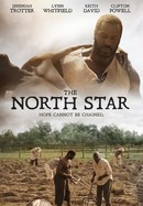The North Star poster image