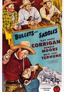 Bullets and Saddles poster image