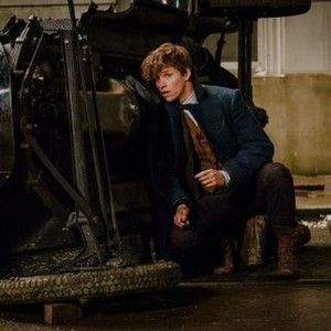 Fantastic Beasts and Where to Find Them photo 16