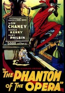 The Phantom of the Opera poster image