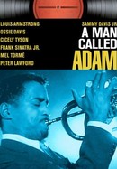 A Man Called Adam poster image