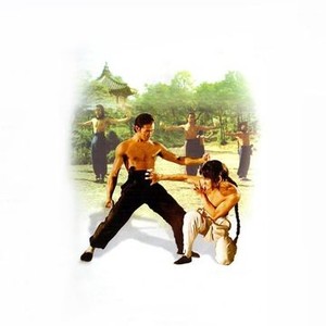Shaolin Martial Arts photo 2