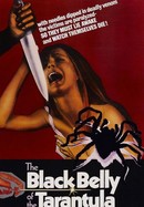 The Black Belly of the Tarantula poster image