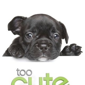 Too Cute! - Rotten Tomatoes