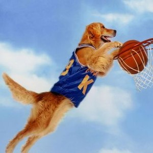 Air Bud - Rotten Tomatoes