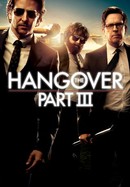 The Hangover Part III poster image