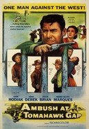 Ambush at Tomahawk Gap poster image