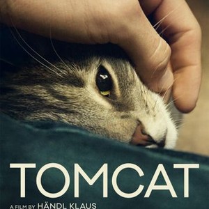 Tomcat (2016) photo 15