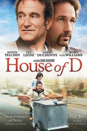 House of D poster