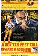 A Boy Ten Feet Tall poster image