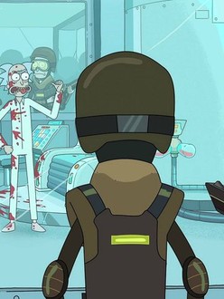 Rick and Morty Season 3 Episode 7 Rotten Tomatoes