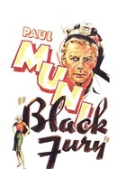 Black Fury poster image
