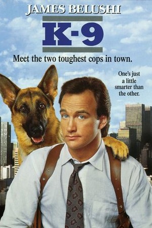 K-9 poster