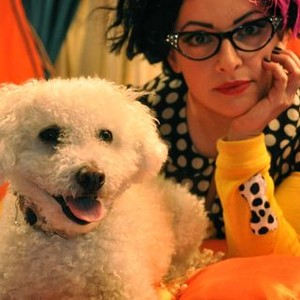Doggie B photo 6