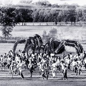The Giant Spider Invasion (1975) photo 4