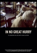 In No Great Hurry: 13 Lessons in Life with Saul Leiter poster image