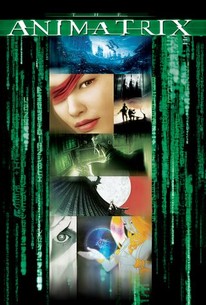 The animatrix movie full