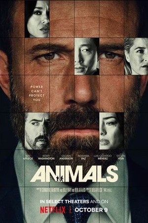 Animals poster