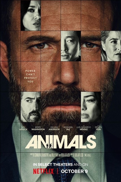 Animals poster
