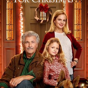 I'll Be Home for Christmas (2016)