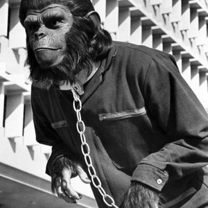 CONQUEST OF THE PLANET OF THE APES, Roddy McDowall,  1972, TM and Copyright (c) 20th Century Fox Film Corp. All Rights Reserved.