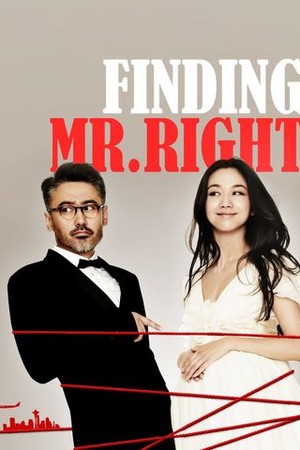 Finding Mr. Right poster