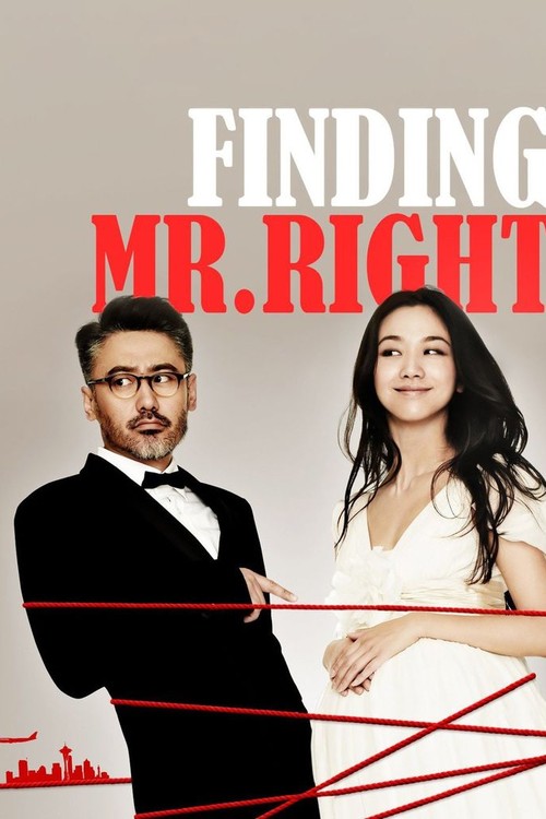 Finding Mr. Right poster