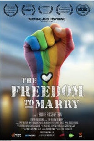 The Freedom to Marry poster